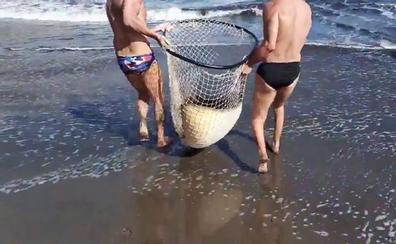 Devuelven al mar una mantelina que quedó atrapada en la playa de La Laja